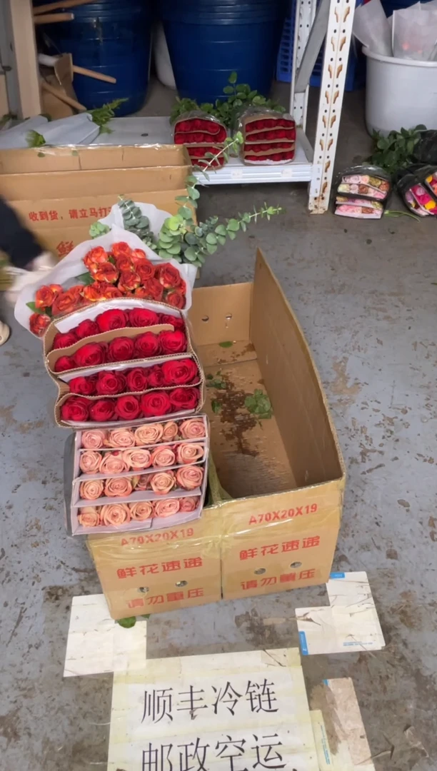 高原红20枝+卡布20枝+巧克力10枝+尤加利