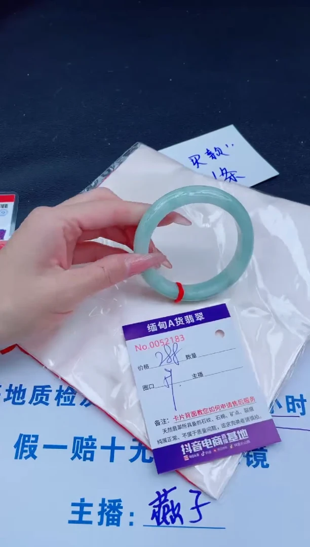 未镶嵌手镯翡翠288