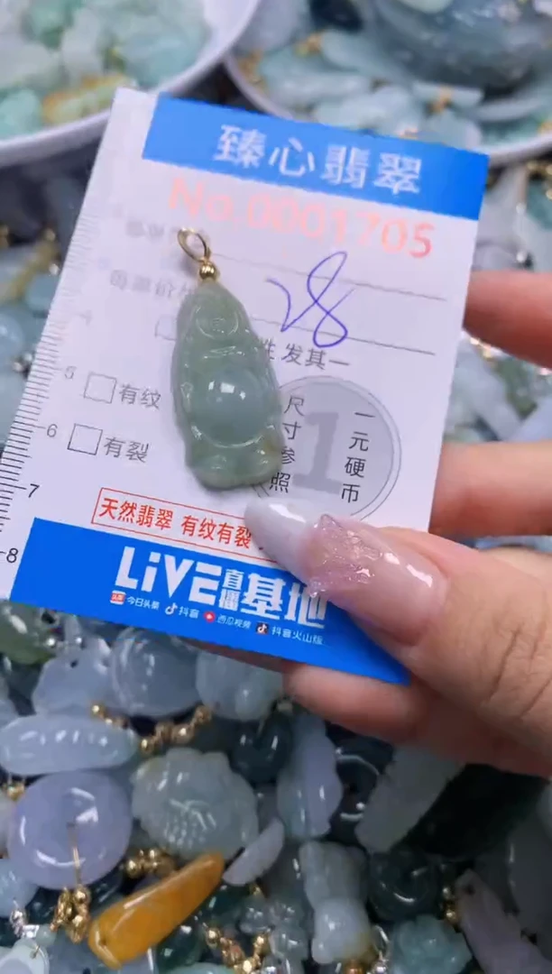 翡翠未镶嵌吊坠(不含链)1705