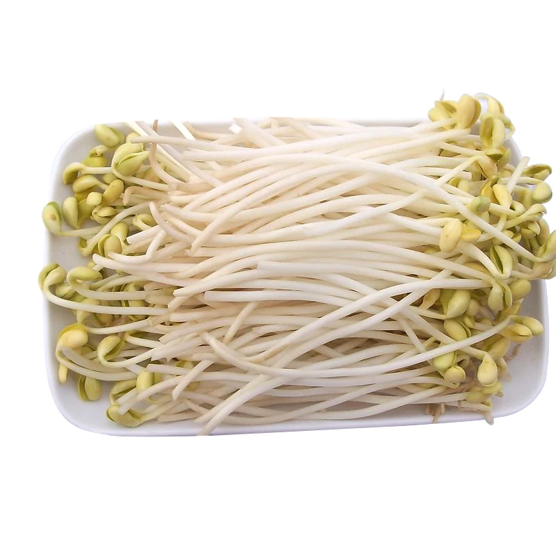 宜沣 黄豆芽 约450-500/份