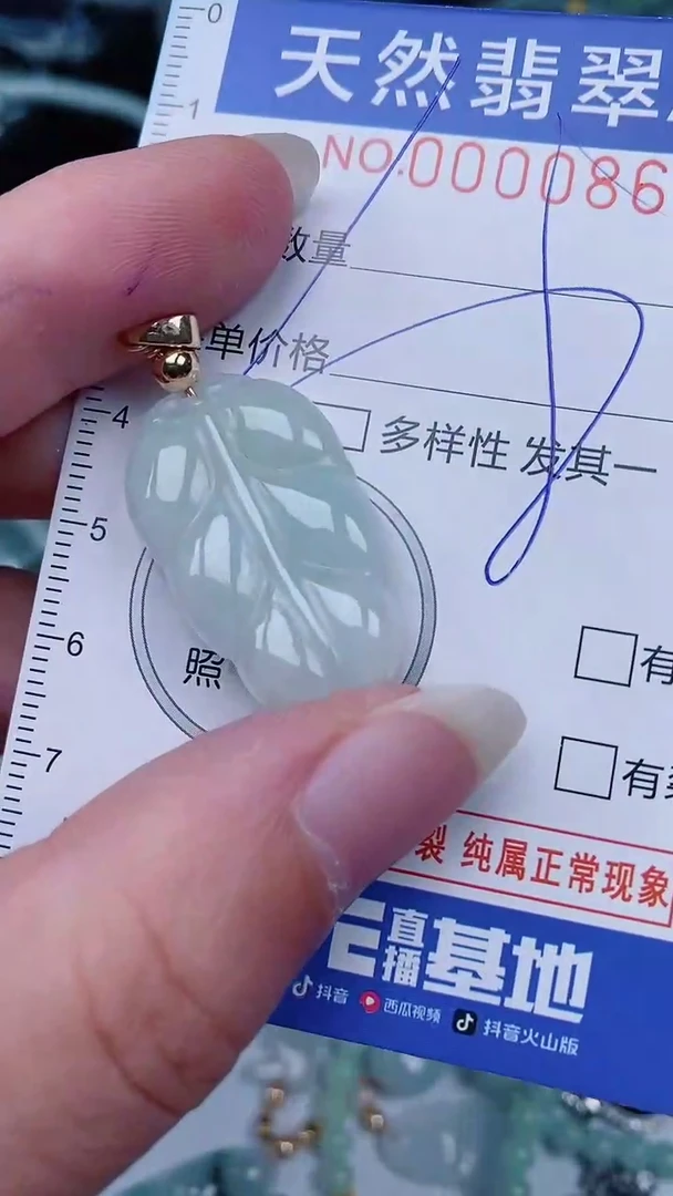 翡翠未镶嵌颈饰00000861