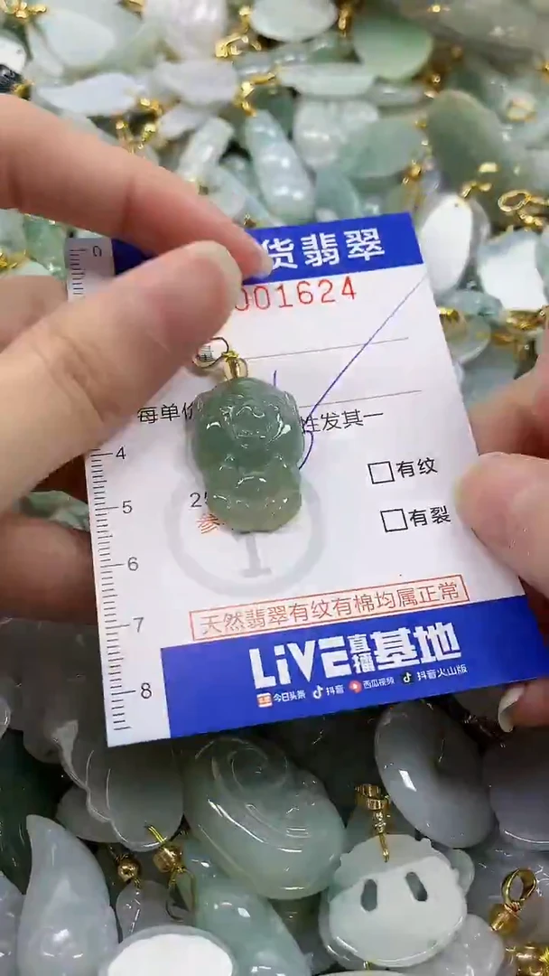 颈饰未镶嵌翡翠纯天然货a翡翠