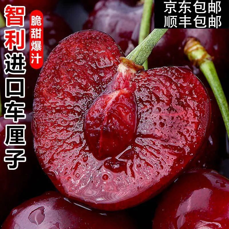 【明天到】2J/3J/4J智利进口海运车厘子2.5kg新鲜水果头茬宝宝孕妇水果内附果径卡5斤桑提娜樱桃智利共和国