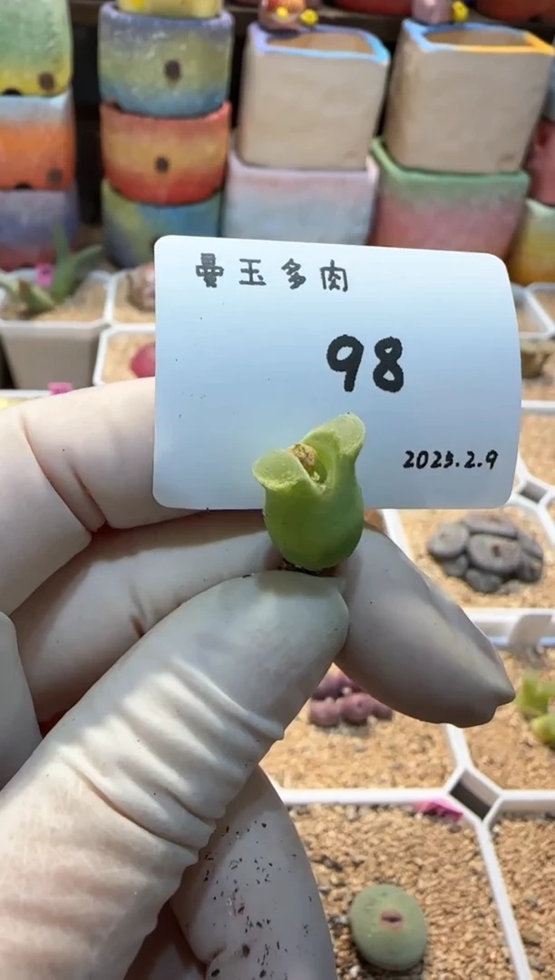 【闪购商品】25..2.9-98李别买