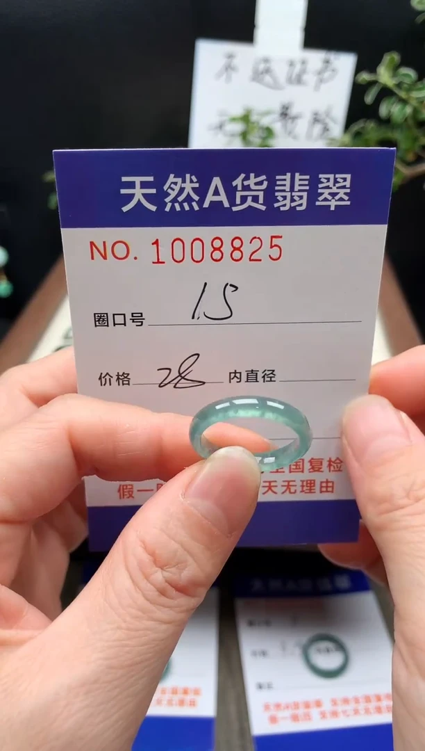未镶嵌戒指翡翠15#