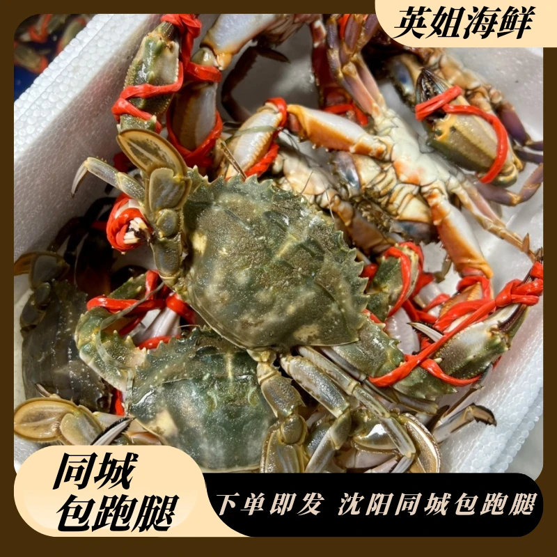断氧公母混花盖蟹3斤起仅限沈阳市内五区发货2两左右【保鲜不保活】