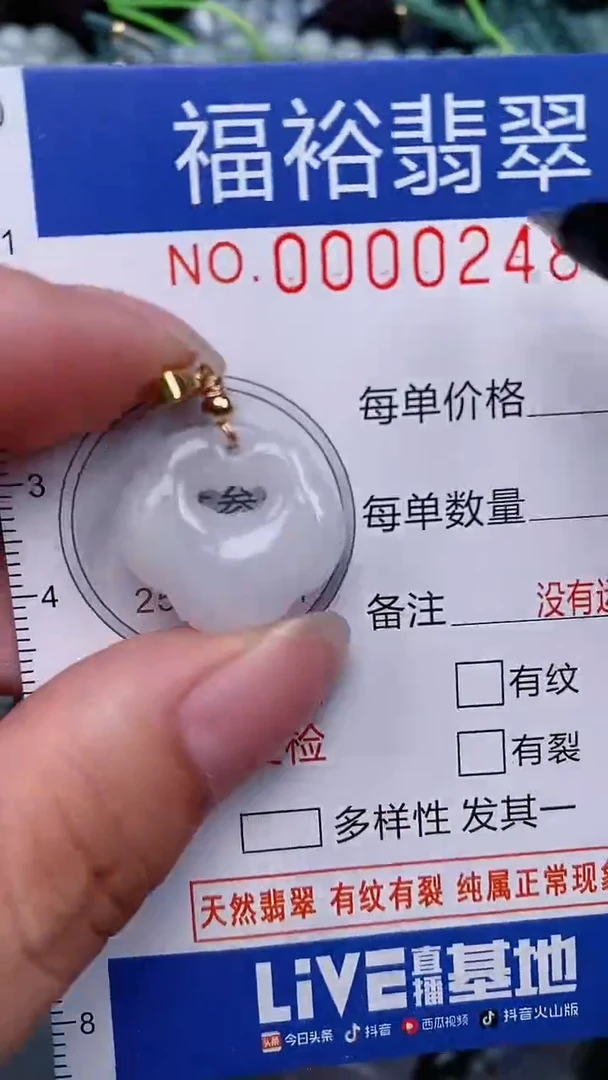 翡翠未镶嵌颈饰...0000248