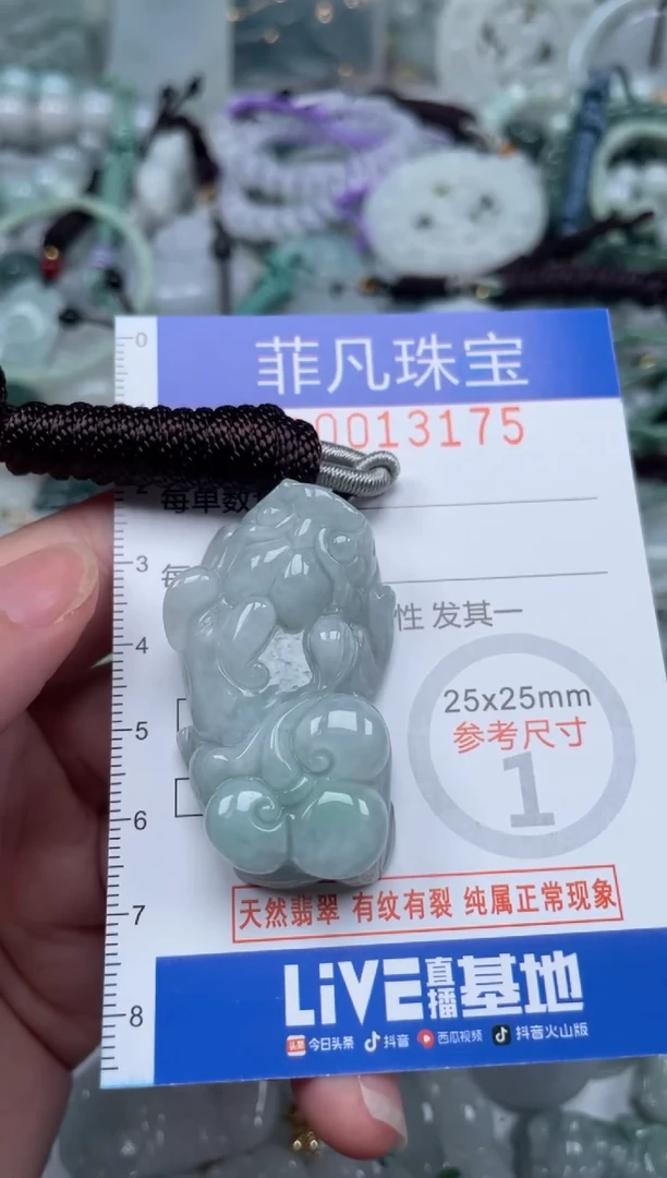 颈饰未镶嵌翡翠13175