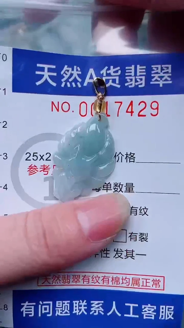 翡翠未镶嵌吊坠(不含链)1