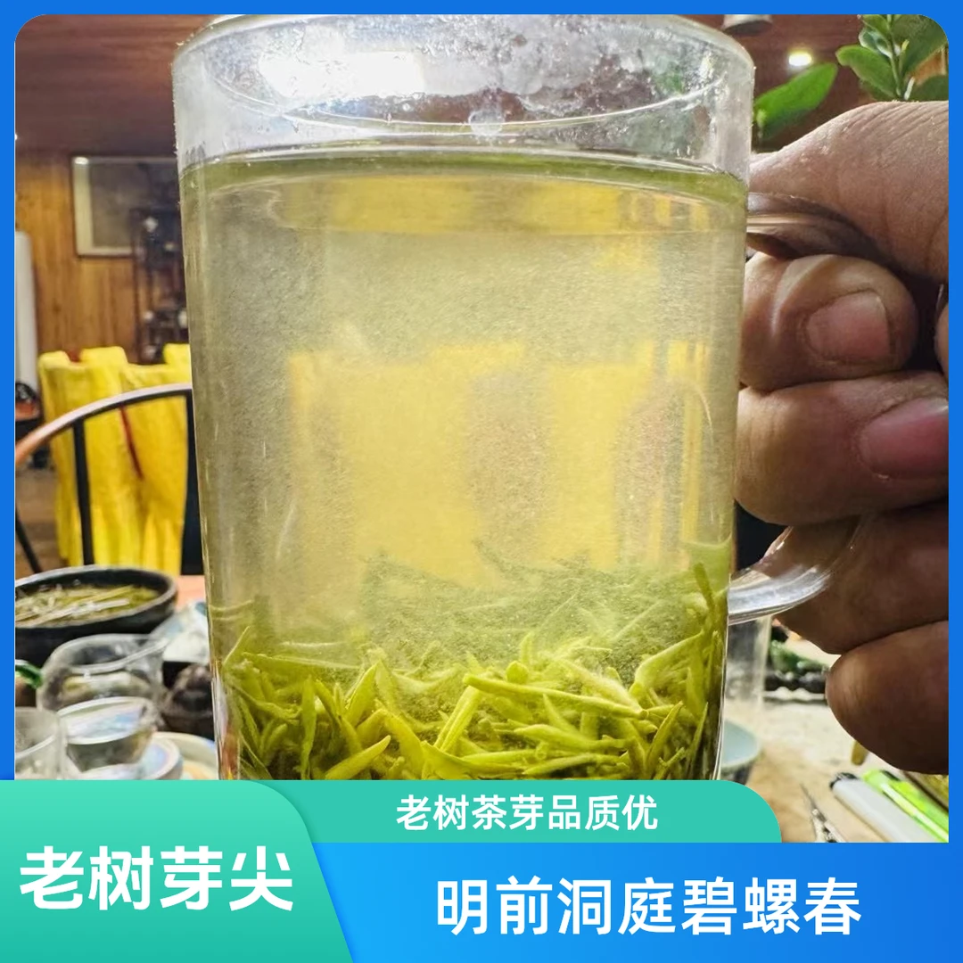 【老树茶芽尖】2025年苏州明前洞庭东山碧螺春老树茶绿茶手工