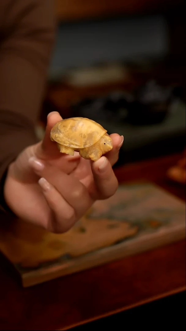 寿山石小甲鱼茶宠
