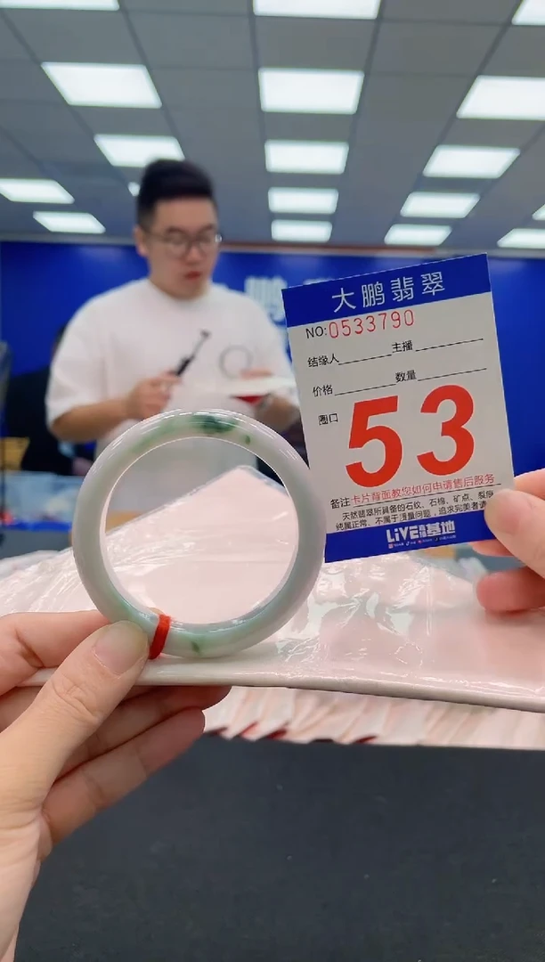 未镶嵌手镯翡翠AAAAAAAAA