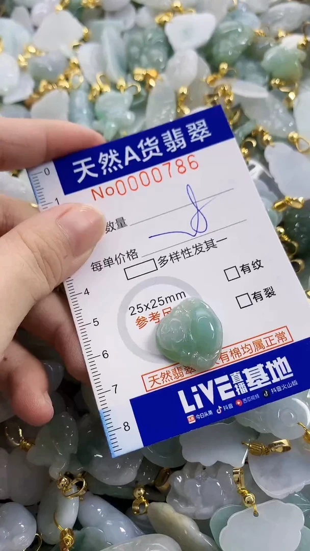 颈饰未镶嵌翡翠天然A货翡翠