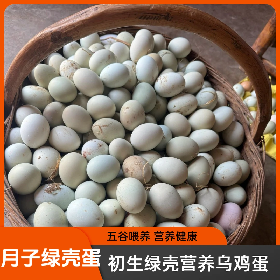 农家南方正宗五谷散养乌鸡蛋绿壳蛋土鸡蛋笨鸡蛋孕妇宝宝蛋月子蛋