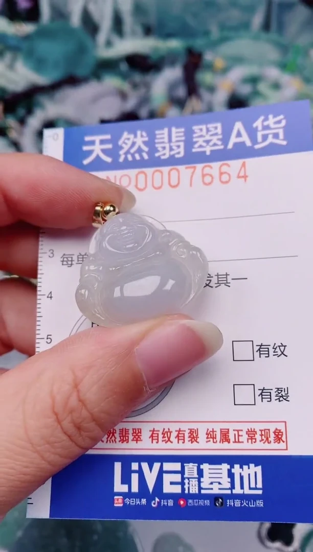 颈饰未镶嵌翡翠00007664