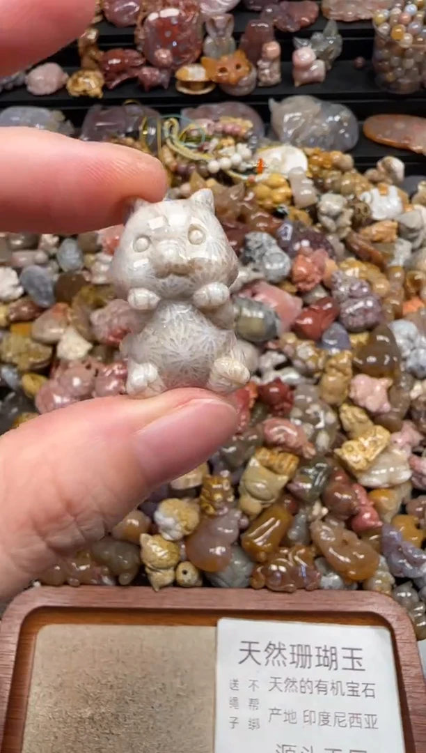 硅化珊瑚（珊瑚玉）未镶嵌颈饰781