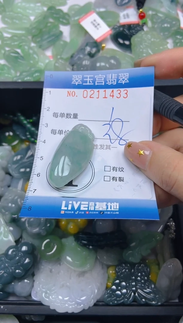 颈饰未镶嵌翡翠闪购C0211433