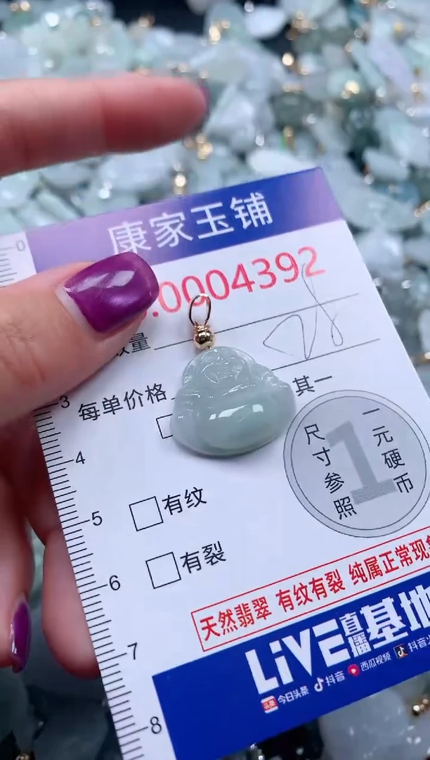 颈饰未镶嵌翡翠4392