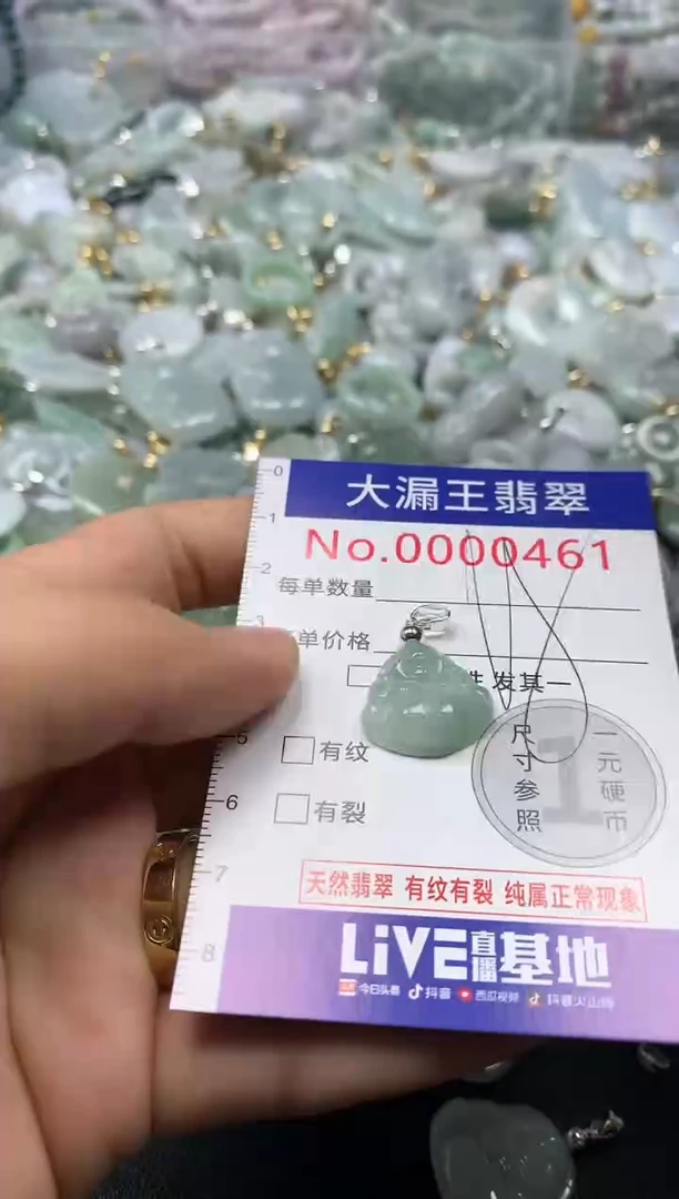 翡翠未镶嵌吊坠(不含链)461