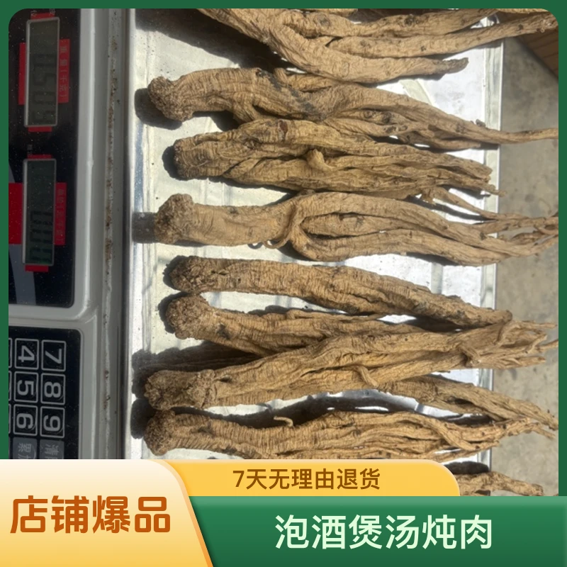 文县纹党参泡酒煲汤炖肉