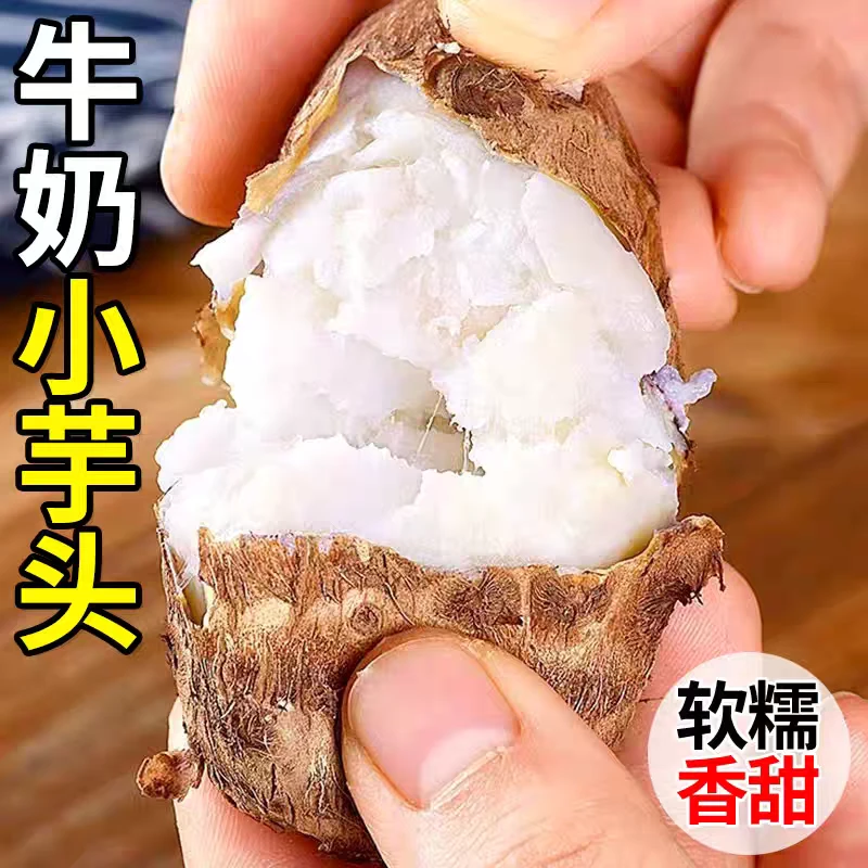 山东新鲜现挖牛奶小芋头现挖香芋软糯粉香口感好的农家蔬菜