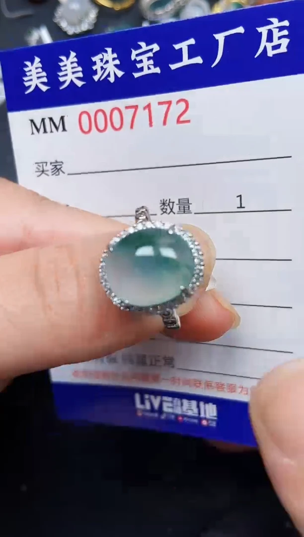 翡翠银S925镶嵌颈饰7172