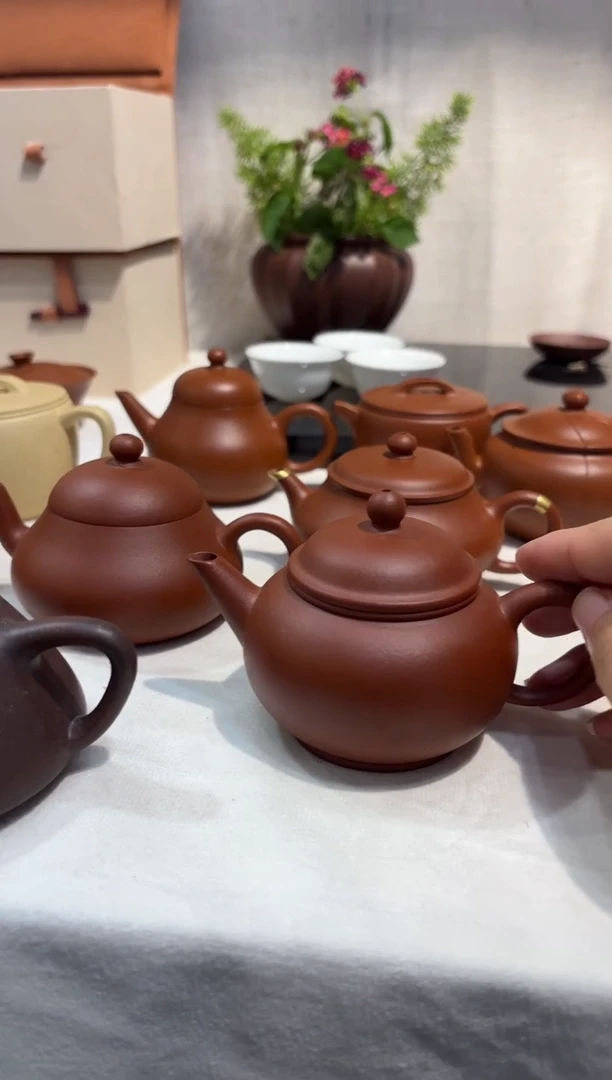 哈****镜茶博会定向紫砂壶