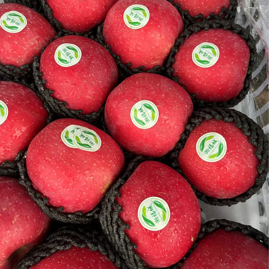 【连州配送】约2斤特级富士苹果（比普通苹果好吃）红富士苹果