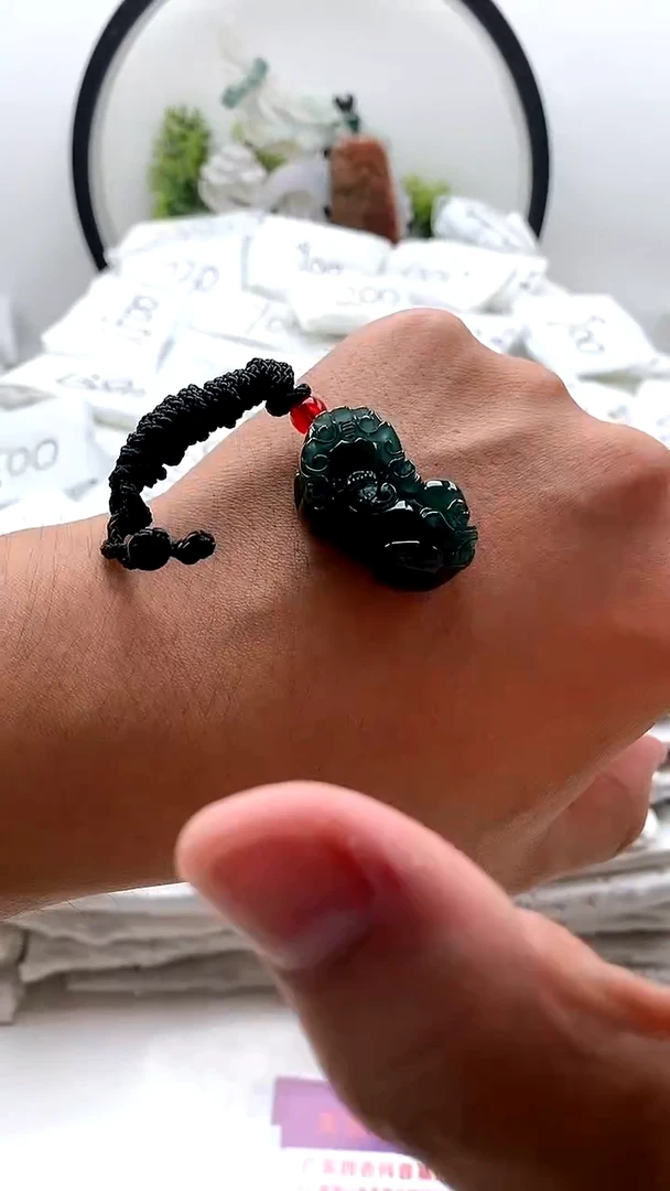 翡翠未镶嵌颈饰貔貅y