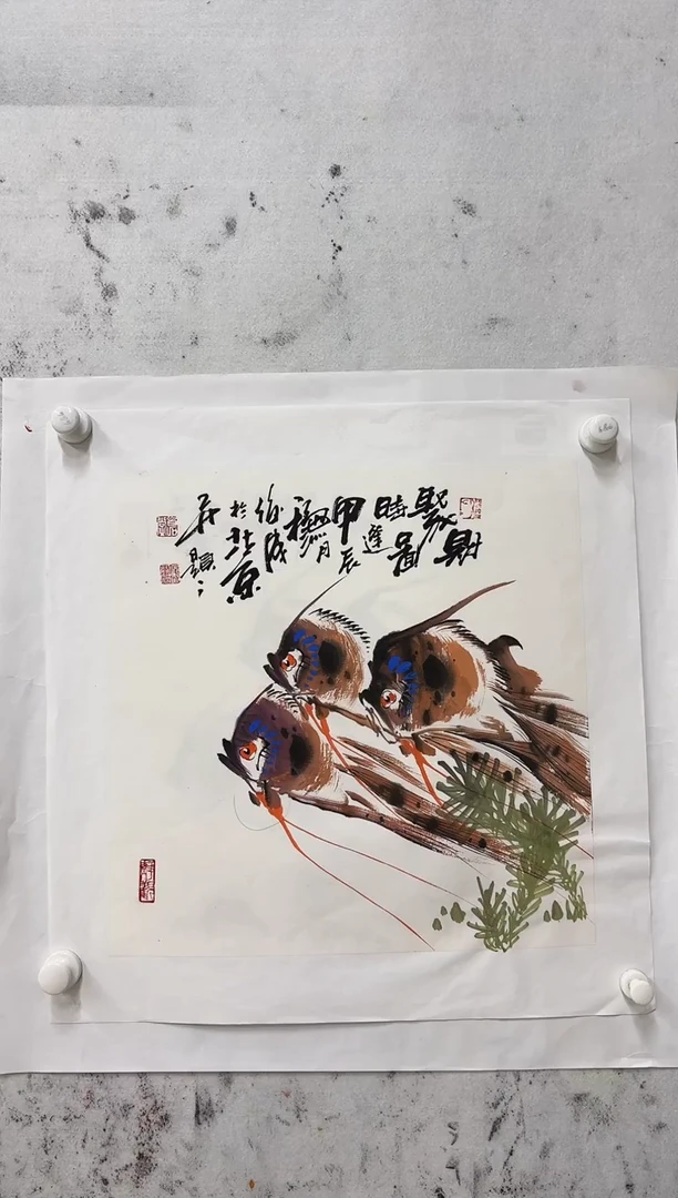 书法金阳宠粉福利