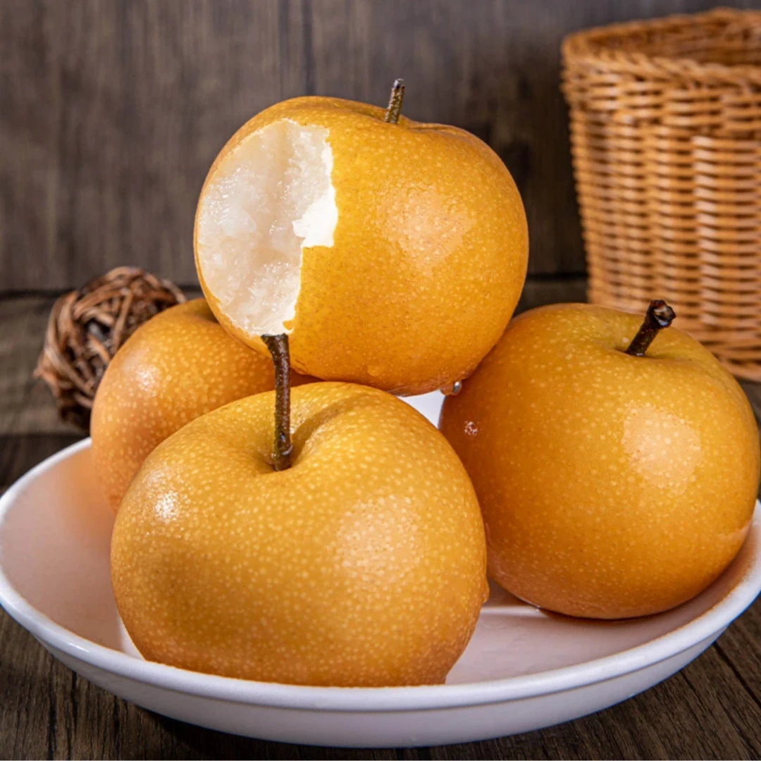 【坏果包赔】山东秋月梨3/4.5斤脆甜无渣皮薄多汁新鲜水果T【ZY】