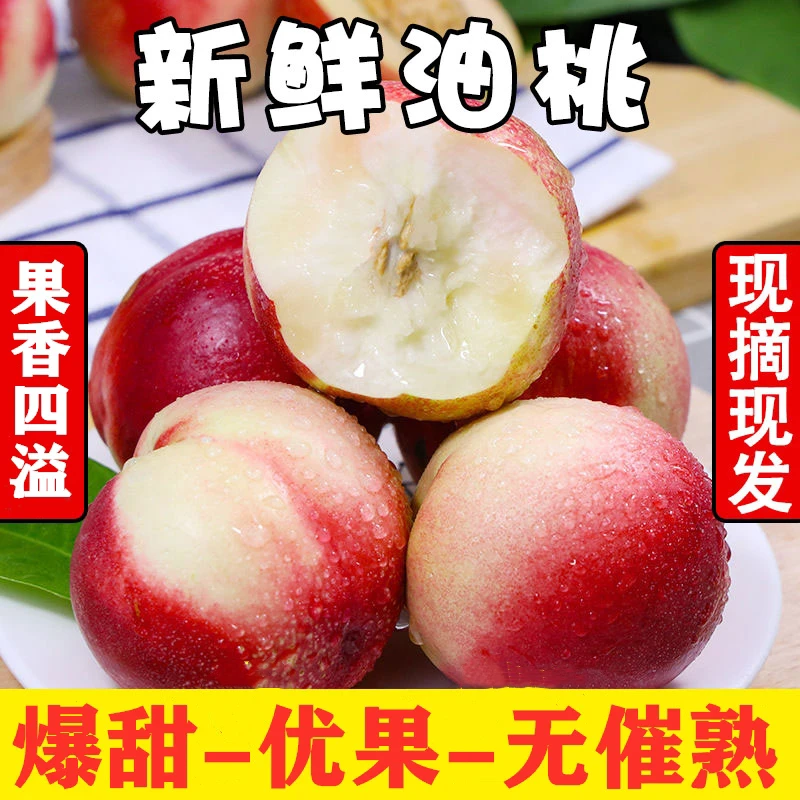 【包邮】现摘露天新鲜高山白心大个油桃脆甜应季水果苹果桃