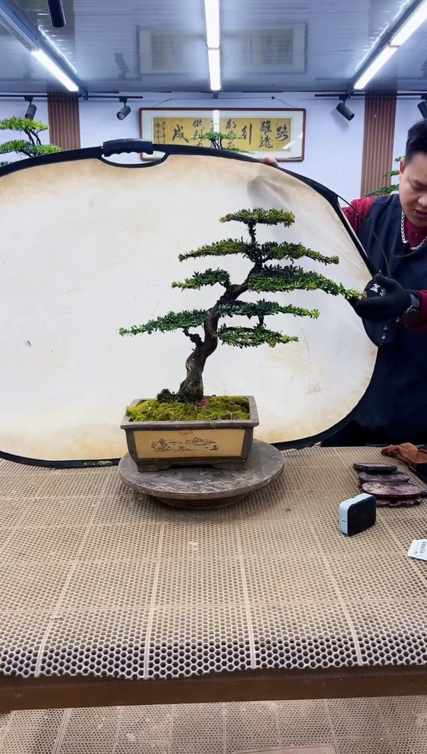 【闪购商品】0000000