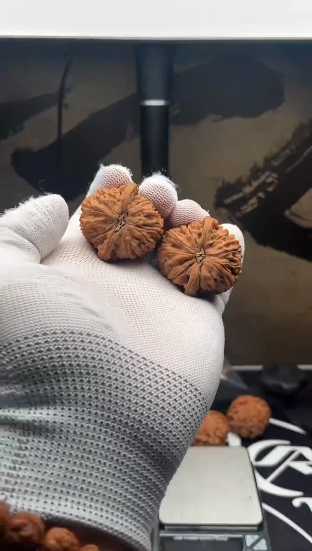 文玩核桃把件全品水龙纹700