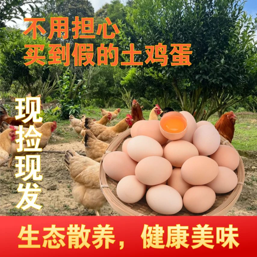 礼盒装林下散养新鲜土鸡蛋农场直供现捡现发跑山鸡土鸡蛋无抗无激