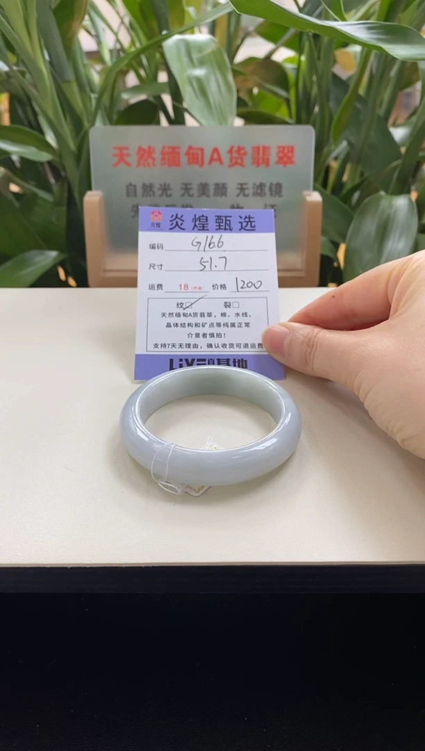 未镶嵌手镯翡翠圈口51.7编码g166