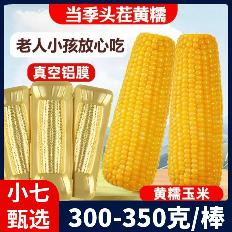 【14根大果】2025年新鲜黄玉米整箱9-9.5斤每支300-350克（试吃6支）