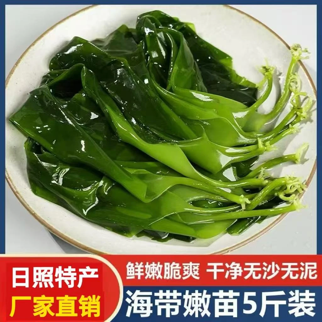 青亚【净重五斤】海带苗嫩苗三秒菜嫩芽 无水