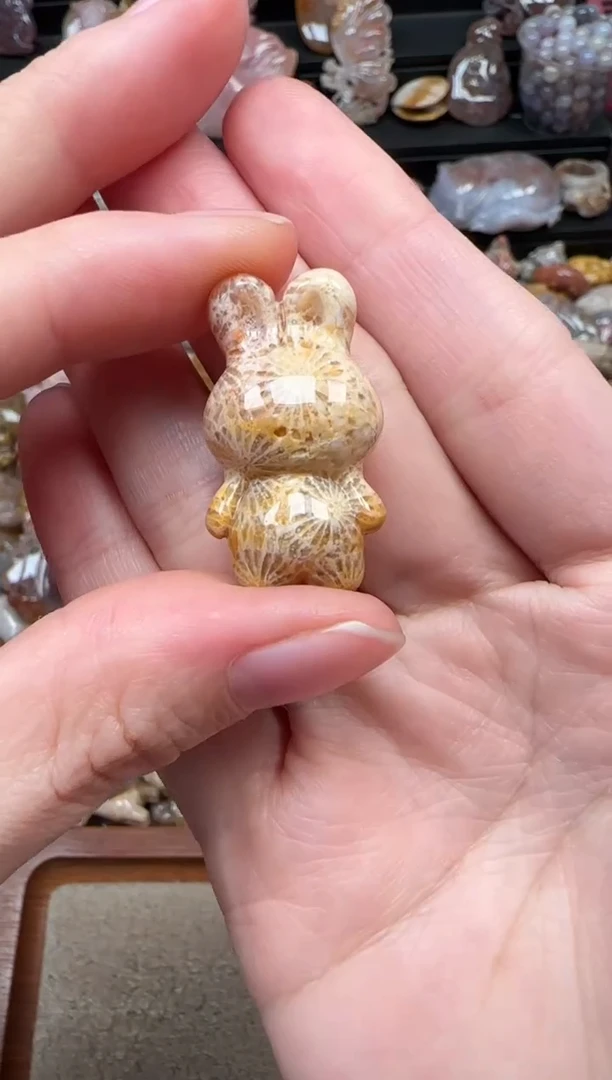 颈饰未镶嵌硅化珊瑚（珊瑚玉）245