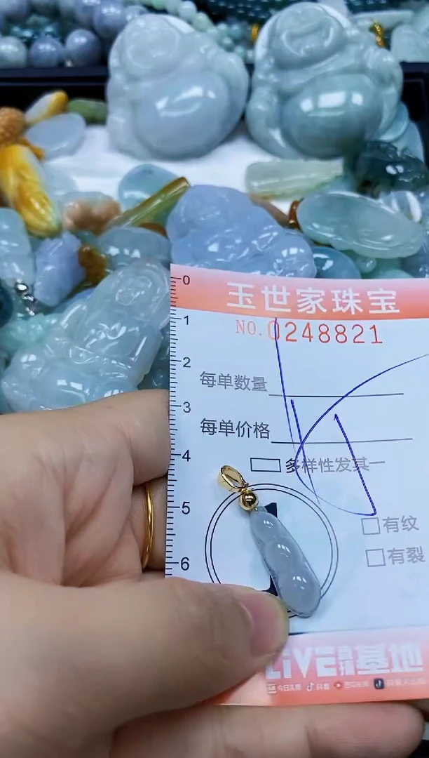 翡翠未镶嵌颈饰闪购0248821