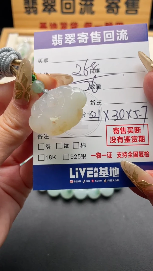 颈饰未镶嵌翡翠10147070