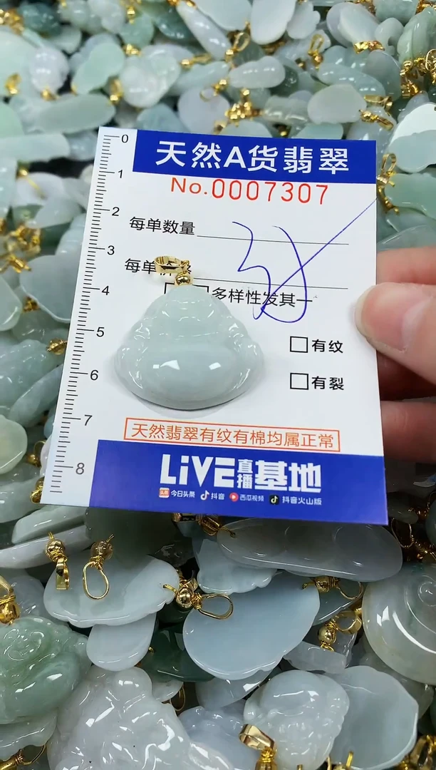 颈饰未镶嵌翡翠纯天然a货翡翠