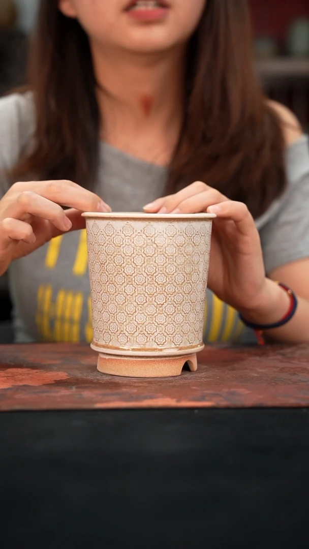 6-16-060花盆口径9