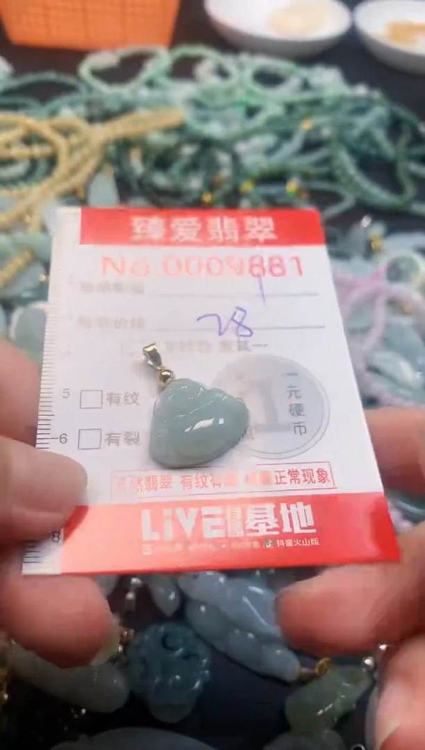 颈饰未镶嵌翡翠9881