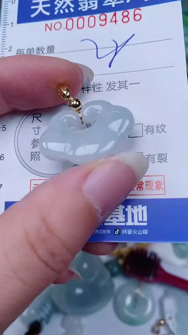 翡翠未镶嵌颈饰00009486