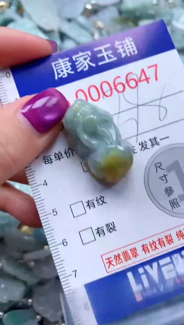 颈饰未镶嵌翡翠6647