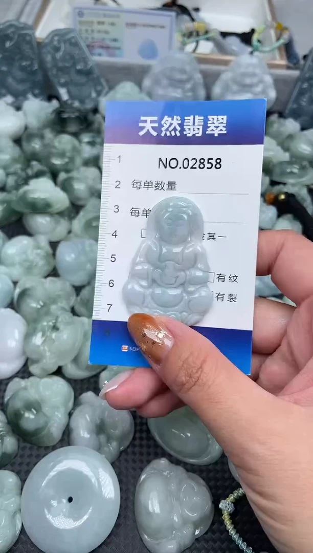 颈饰未镶嵌翡翠纯天然A货翡翠2858