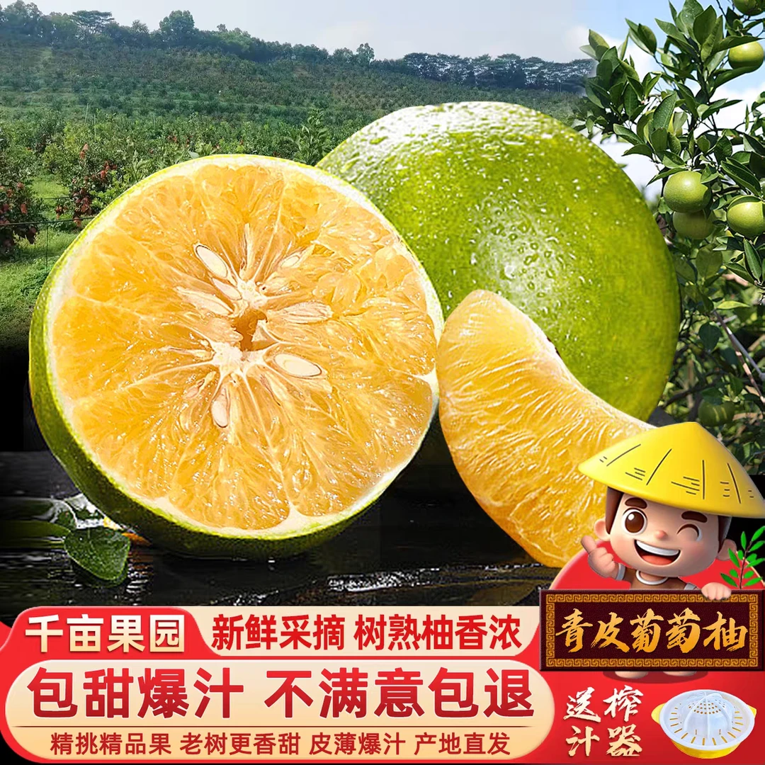 【新疆专场】爆汁福建漳州平和葡萄柚新鲜应季水果香甜多汁现摘现发