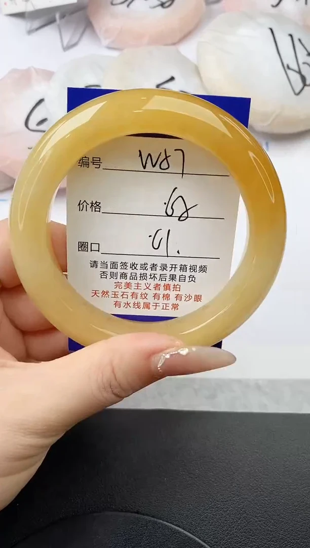 未镶嵌手镯石英质玉w57-HB61+