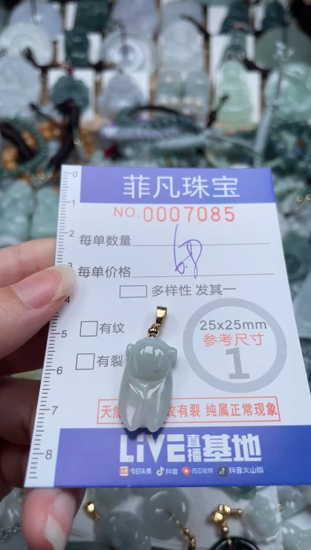 翡翠未镶嵌颈饰00..7085